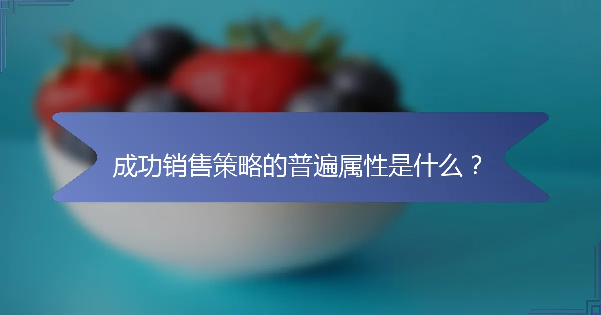 成功销售策略的普遍属性是什么？