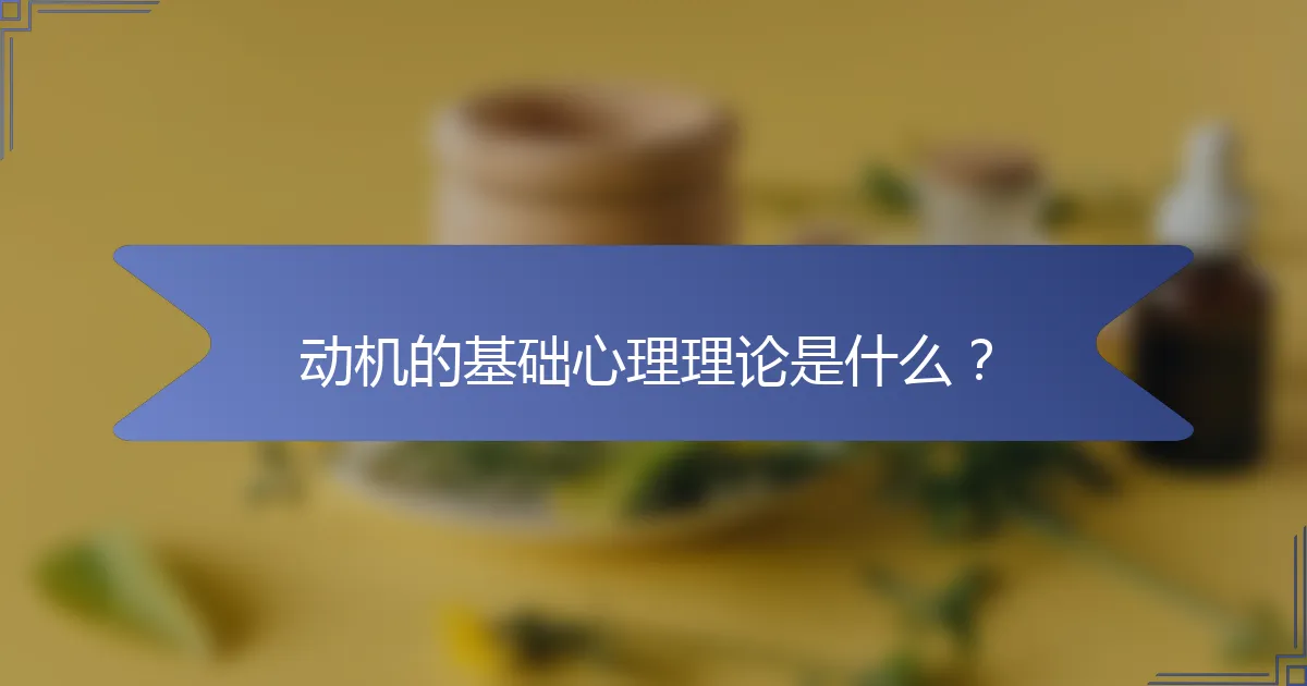动机的基础心理理论是什么？