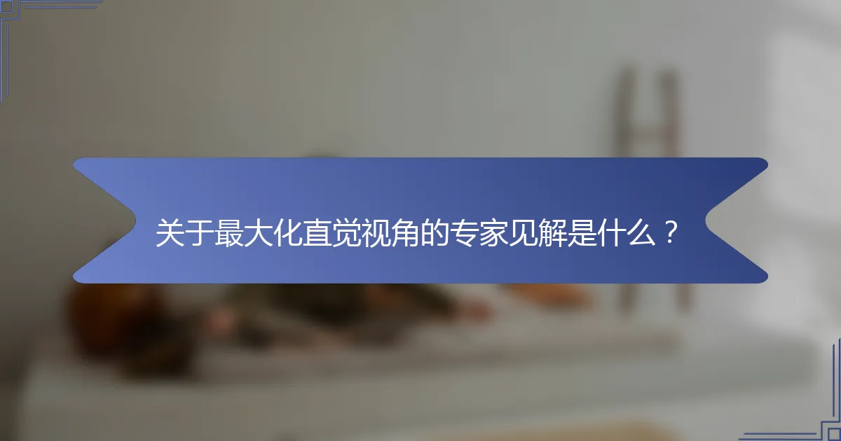 关于最大化直觉视角的专家见解是什么？