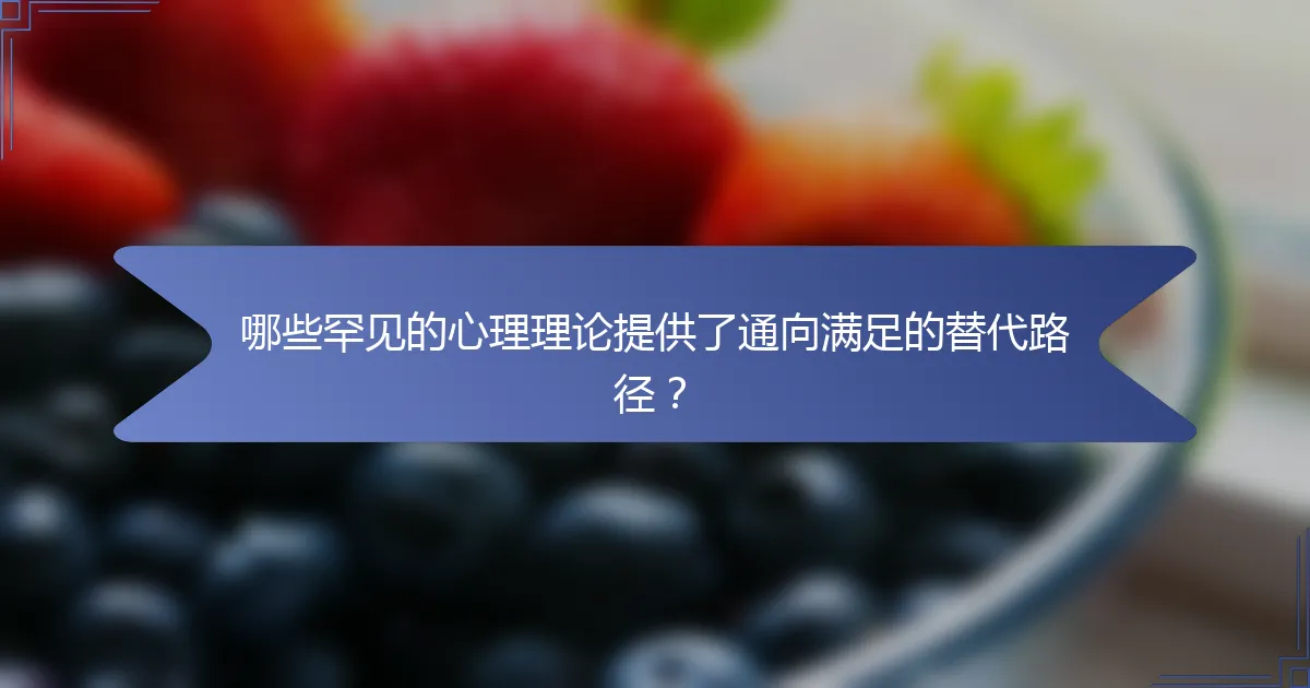 哪些罕见的心理理论提供了通向满足的替代路径？