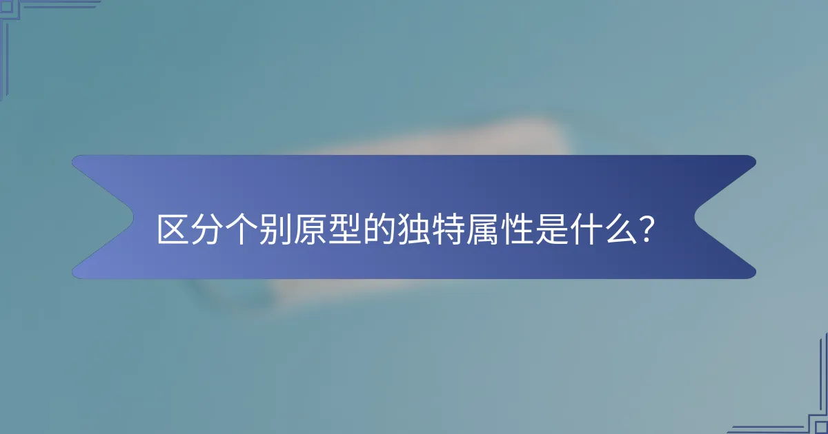 区分个别原型的独特属性是什么？