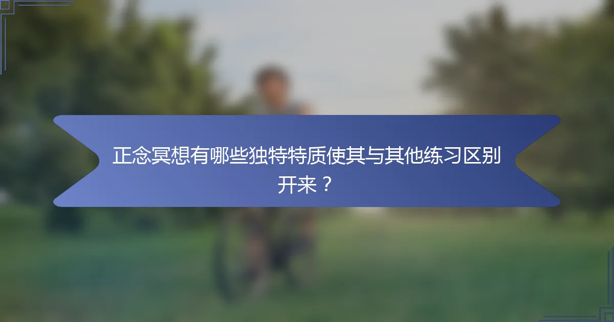 正念冥想有哪些独特特质使其与其他练习区别开来？