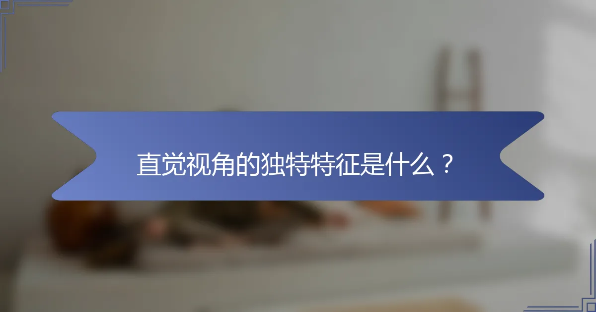 直觉视角的独特特征是什么？